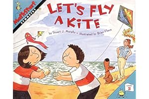Let's Fly a Kite: A MathStart Picture Book Teaching Symmetry and Cooperation for Kids (Ages 6-10)