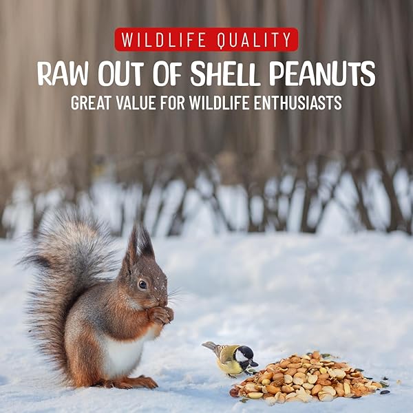 SNEAKY MANGO RAW OUT OF SHELL PEANUTS – 5 POUNDS – SHELLED PEANUTS FOR BIRDS – WILDLIFE QUALITY – FOOD FOR SQUIRRELS, DEER, BIRDS, AND OTHER WILDLIFE ANIMALS – GROWN IN THE USA