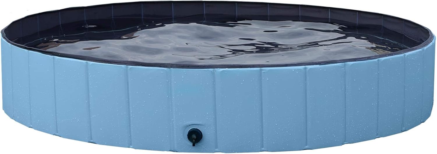 Top 6 Best Pools For Dogs That Chew (INDESTRUCTIBLE)