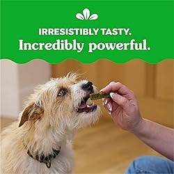 Greenies Original Teenie Dental Dog Treats, (4) 65