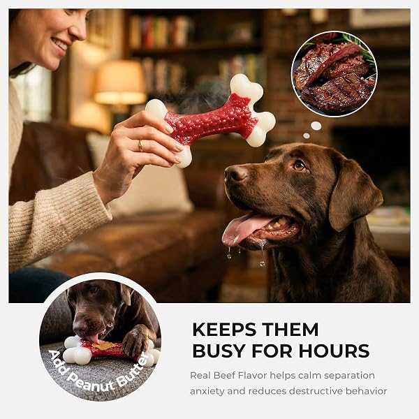 KSEROO 6-PACK INDESTRUCTIBLE DOG TOYS FOR AGGRESSIVE CHEWERS: BEEF FLAVORED HARD NYLON BONE CHEW TOYS, TOUGH DOG CHEW TOYS FOR LARGE DOGS, DOG TOYS TO KEEP THEM BUSY FOR MEDIUM LARGE BREED, RED