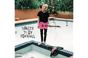 Tickets To My Downfall (Vinyl)