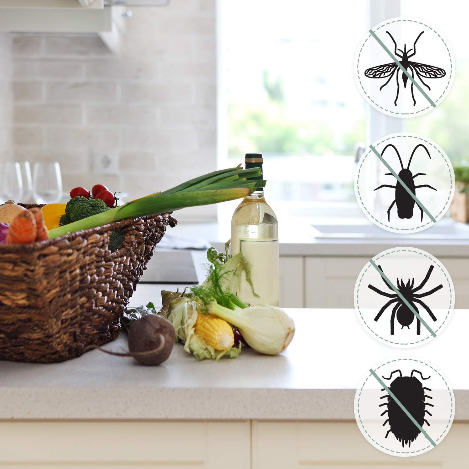 4 Pieces Plastic Fly Swatters Telescopic Handle Swatters Black Fly Swatters with Stainless Steel Handle for Indoor Outdoor Classroom Home Office: Garden & Outdoor