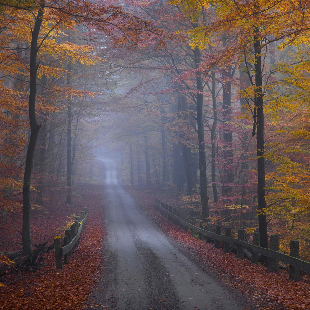 International Graphics - Finished Picture - Hans, Strand - ''Misty Road''- 30 x 30 cm - Direct printing on acrylic glass