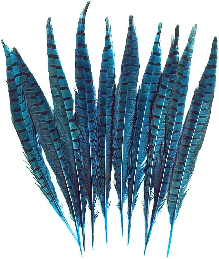 20Pcs Natural Pheasant Tail Feathers for Craft or Decoration 25-30cm Long