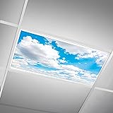 SCWISOAS Fluorescent Light Covers for Ceiling