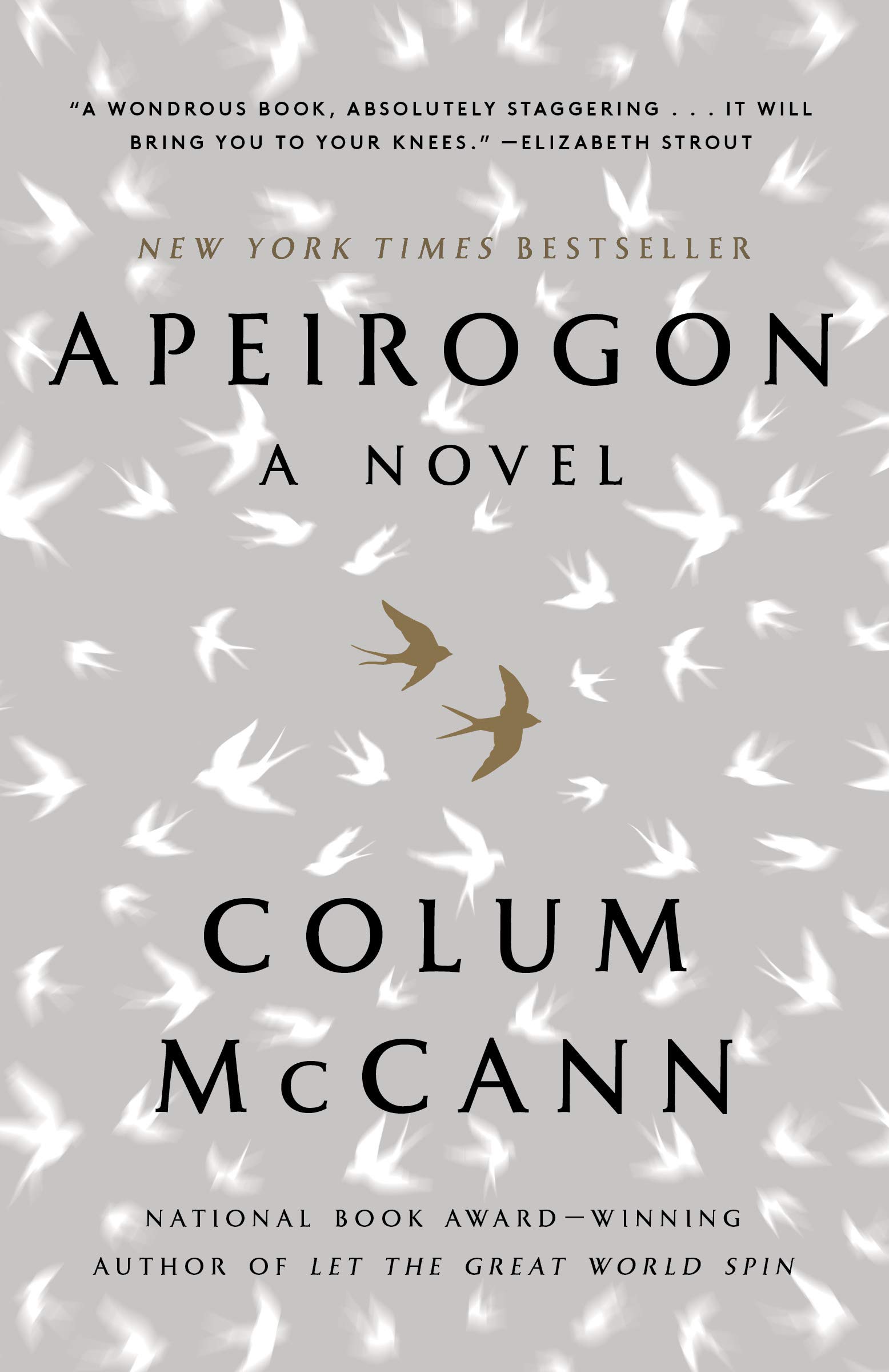 Amazon Apeirogon A Novel Mccann Colum Historical