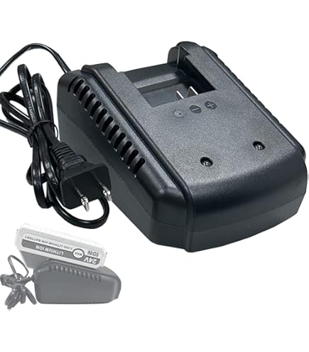 Snow Joe Batteries Snow Joe Sun Joe ICHRG40-DPC Dual Port