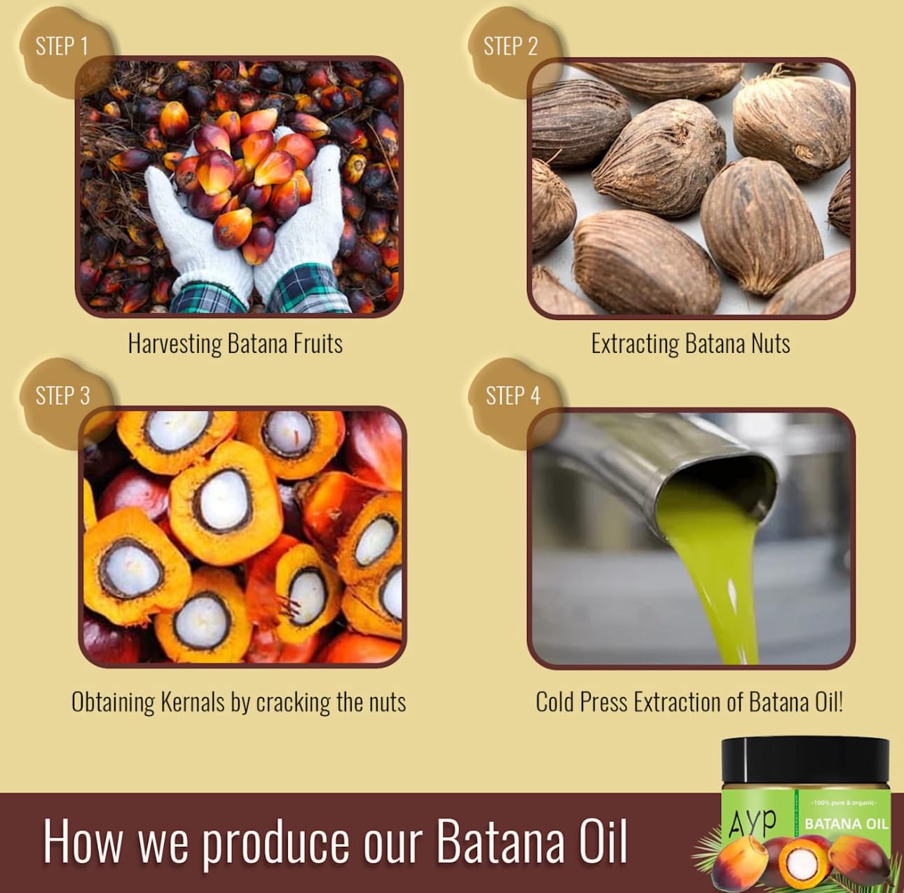 View 4