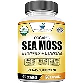 American Standard Supplements Organic Sea Moss, Bladderwrack & Burdock Root Capsules - 1200mg Seamoss, 1200mg Bladderwrack, 225mg Burdock Root Per Serving - 120 Capsules, 40 Servings