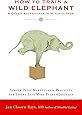 How to Train a Wild Elephant: And Other Adventures in Mindfulness