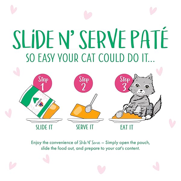 WERUVA B.F.F. PLAY – BEST FELINE FRIEND PATÉ LOVERS, AW YEAH!, TUNA & TURKEY TOTES! WITH TUNA & TURKEY, 3OZ POUCH (PACK OF 12)