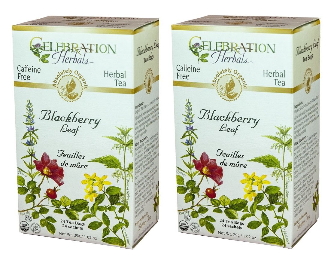 Organic Blackberry Leaf Tea Kosher, CaffeineFree, GMO