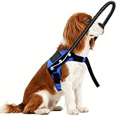 LetPetRun Blind Dog Protective Halo Vest, Adjustable Navigation Harness with Protective Ring for Visually Impaired Dogs &amp; Small Puppies (XS)