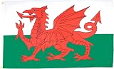 AZ FLAG Wales Flag 2x3 Ft 100D Polyester Banner with Grommets
