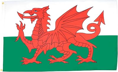 AZ FLAG Wales Flag 2x3 Ft 100D Polyester Banner with Grommets