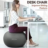 Fitvids Signature Anti-Burst Exercise Ball 2000 lb 19-22 in M Quick Pump view 6