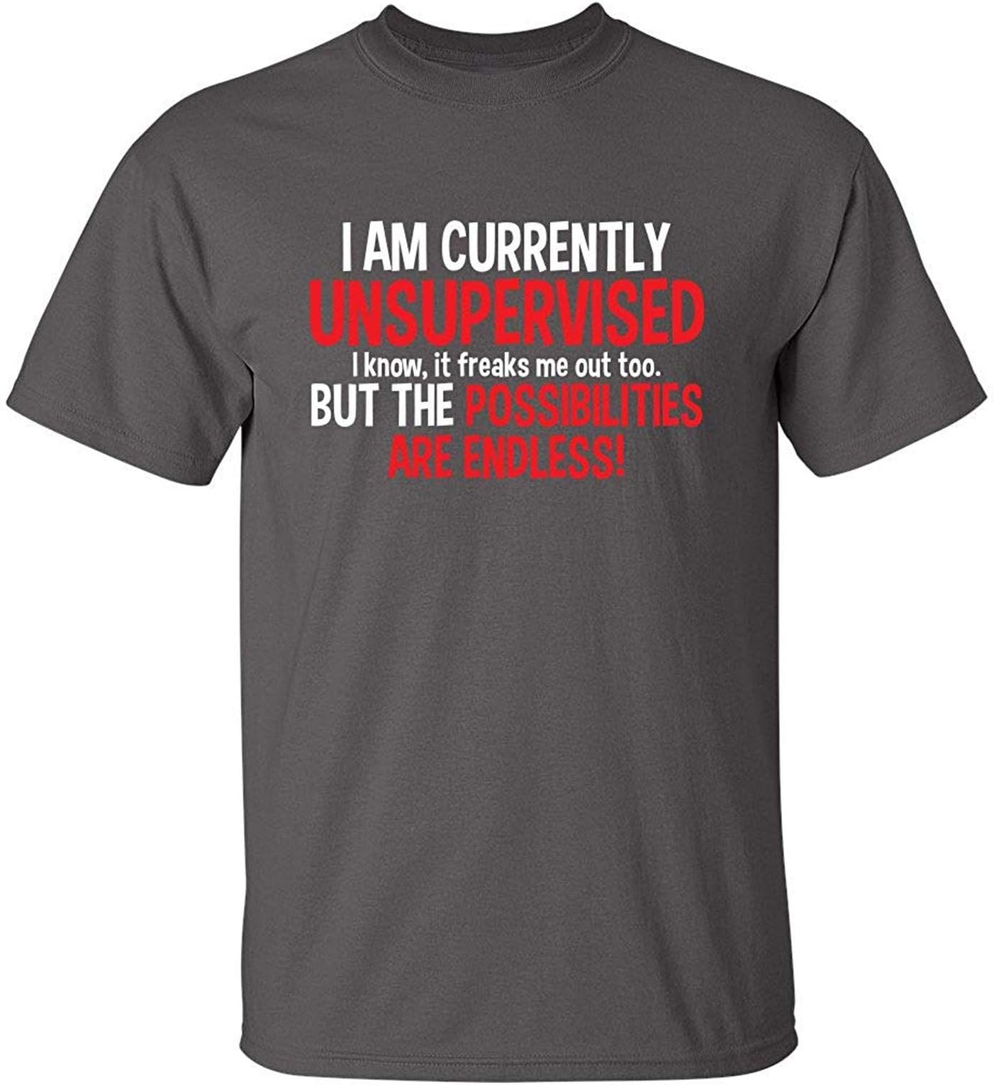 Hayfoot T-Shirt I Am Currently Unsupervised Adult Humor Novelty Graphic Sarcasm Funny T Shirt