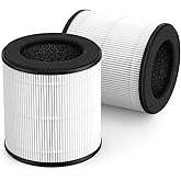 Air Filter Replacement