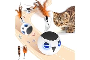 ORSDA Cat Toys, Interactive Cat Toy Ball for Indoor Cats, Automatic Moving Ball Bird Toy for Bored Indoor Kitten, Motion Acti