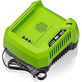 GCH8040 4.0A Rapid Charger Replacement for Greenworks Pro 80V Battery Charger 2958602AZ 2964602 GCH8020 2936802, Compatible with BAB740 BAB741 BAB742 BAB743 LB60200 LB8080 2981102 GBA80200 GBA80250