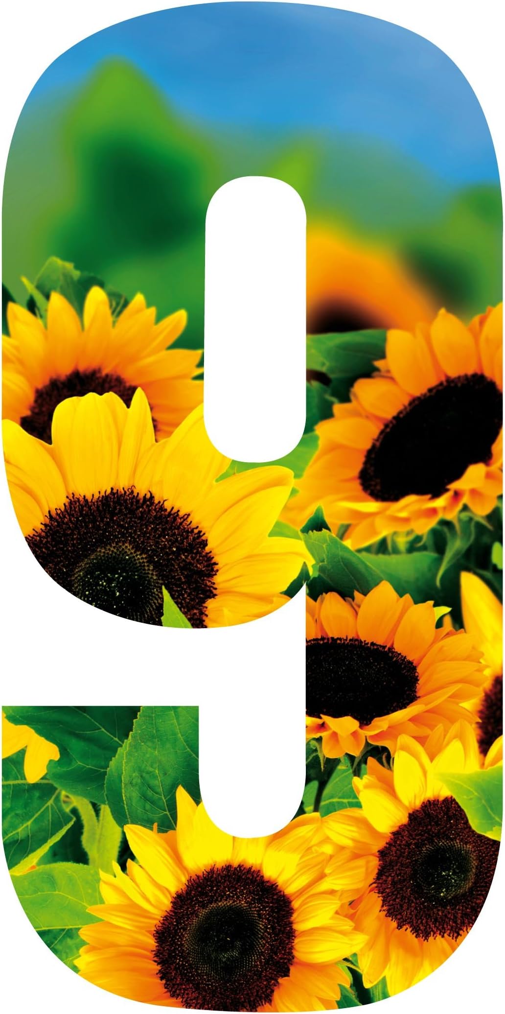 WHLPack of 3 Wheelie Bin House Numbers - Sunflower Number 9