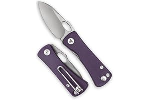 TRIVISA Pocket Knife for EDC,2.04in 14C28N Steel Blade,Purple G10 Reversible Deep Carry Clip Handle,Folding Thumb Hole Knives for Men and Women，Andromeda-03PG