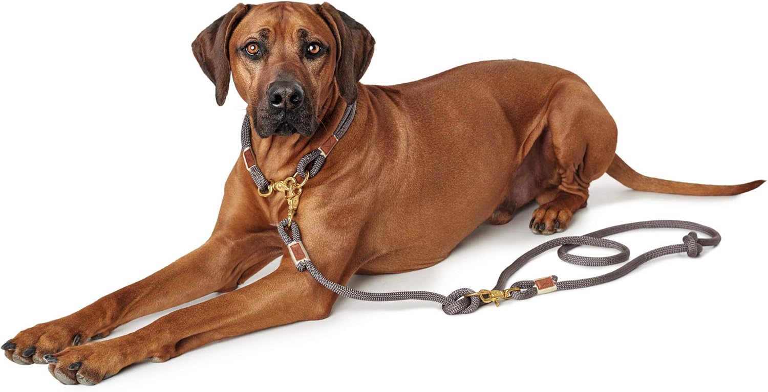 HUNTER Adjustable leash Sansibar Rantum, 12/200 Rope, grey - Image 5