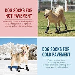 EXPAWLORER Anti Slip Dog Socks to Prevent Licking