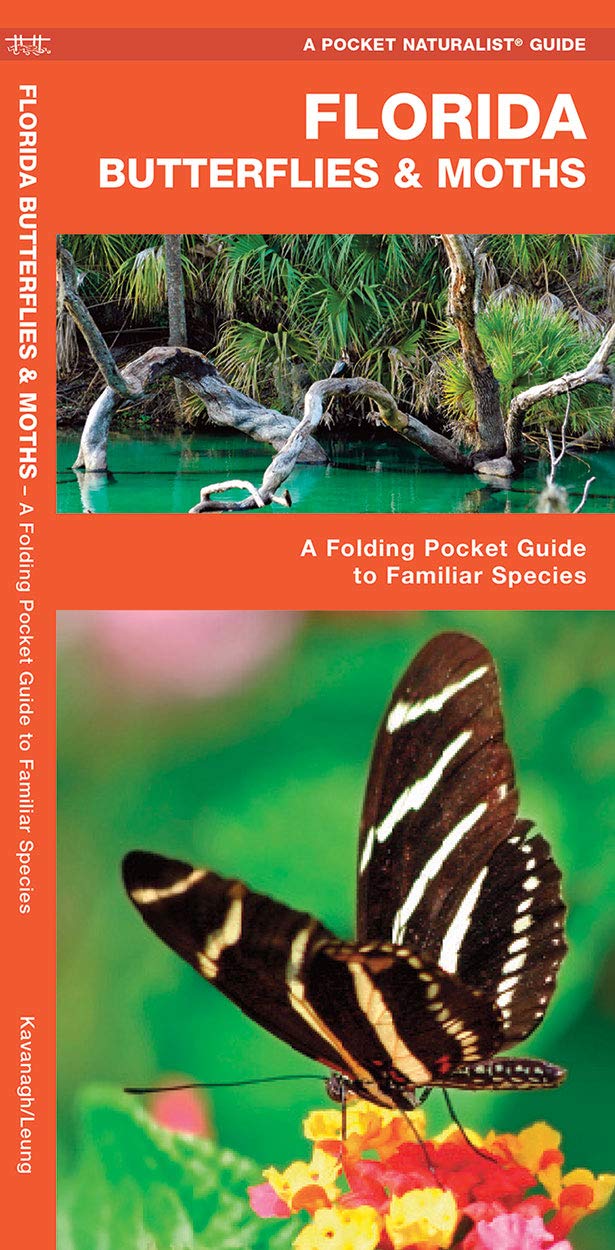 Types Of Moths In Florida