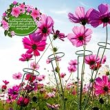 Garden Mile Heavy Duty Circular Plant Support Rings 10pc Spiral Stakes view 7