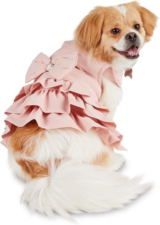 bond & co dog jacket