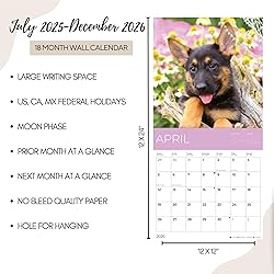 July 2025- December 2026 Wall Calendar 18 Month
