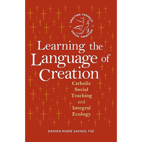 アメリカ文学関連書籍 10冊セット 現代アメリカ文学全集 10冊一括 月報付き / 古書 往来座 / 古本、中古