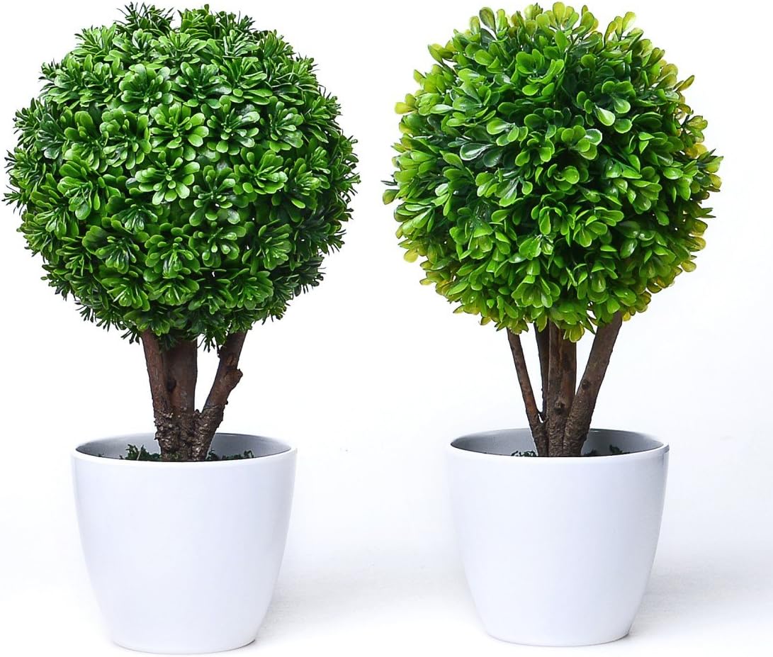 chic2click 2X Round Artificial Faux Potted Home Desk Tabletop Decor Boxwood Topiary Plant in Pots