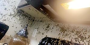 Review Image by Rochelle Oliver