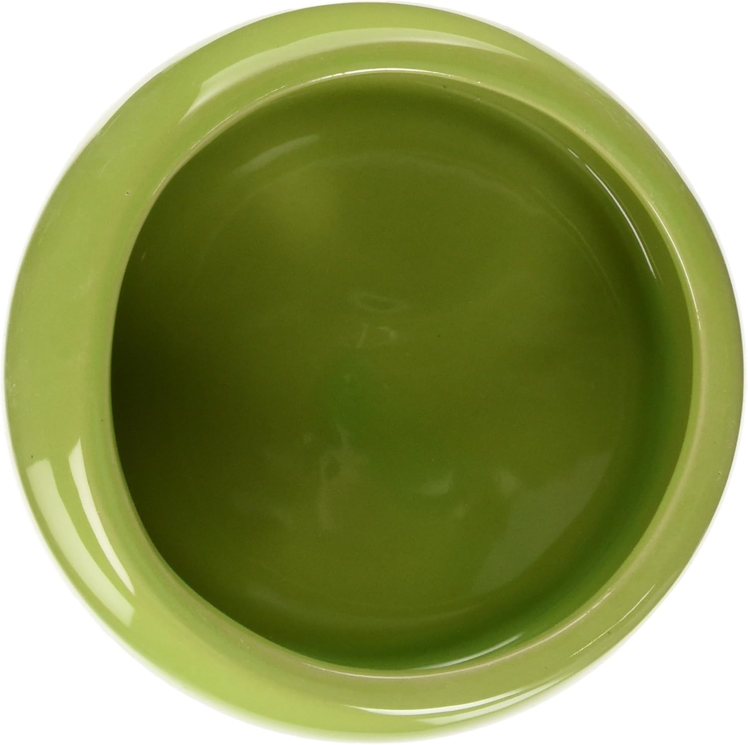 guinea pig food dish