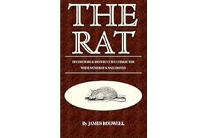 The Rat; Its History & Destructive Character