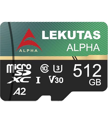 Amazon.com: LEKUTAS 1T(999GB) Micro SD Card, microSDXC UHS-I Flash
