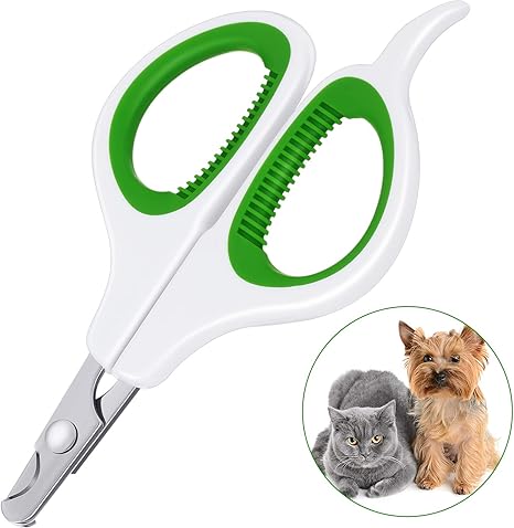 Coupe Ongles De Chats Coupe Ongles D Animaux De Compagnie Tondeuses A Griffes De Chat Ciseaux A Griffes D Animaux De Compagnie Outil De Toilettage D Animaux De Compagnie Pour Chaton Vert Et Blanc Amazon Fr Animalerie