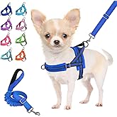 Lukovee No Pull Dog Harness and Leash Set, Soft Padded Small Dog Harness, Neck & Chest Adjustable Reflective Vest Puppy Harness with 4ft Lightweight Anti-Twist Dog Leash for Small Dogs (XXS, Blue)