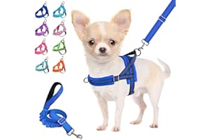 Lukovee No Pull Dog Harness and Leash Set, Soft Padded Small Dog Harness, Neck & Chest Adjustable Reflective Vest Puppy Harness with 4ft Lightweight Anti-Twist Dog Leash for Small Dogs (S, Blue)