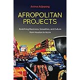 Afropolitan Projects: Redefining Blackness, Sexualities, and Culture from Houston to Accra