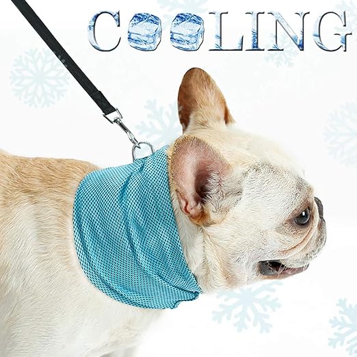 Cooling scarf for dogs Clearance