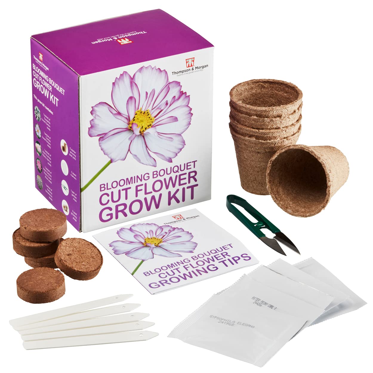 Blooming Bouquet Seed Growing Kit Gift Box – Grow Your Own Cut Flowers, Gypsophila, Cosmos, Asters and Verbena Seeds with Growing Equipment, Perfect Gardeners Gift by Thompson and Morgan