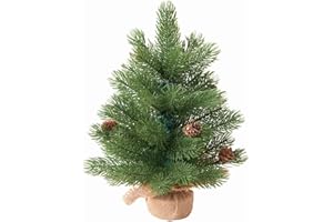 Amaoasis Unlit Mini Christmas Tree Frazer Fir, Desktop Christmas Tree Artificial Small Christmas Tree with PE Branches, Burlap Base, Green, for Home, Decorations No Pre-lit, Non Lights 11.6Inch