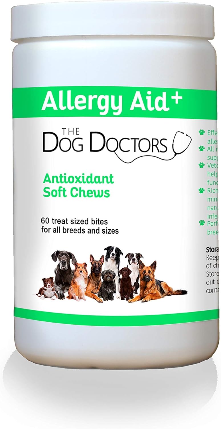 dog allergy specialist near me