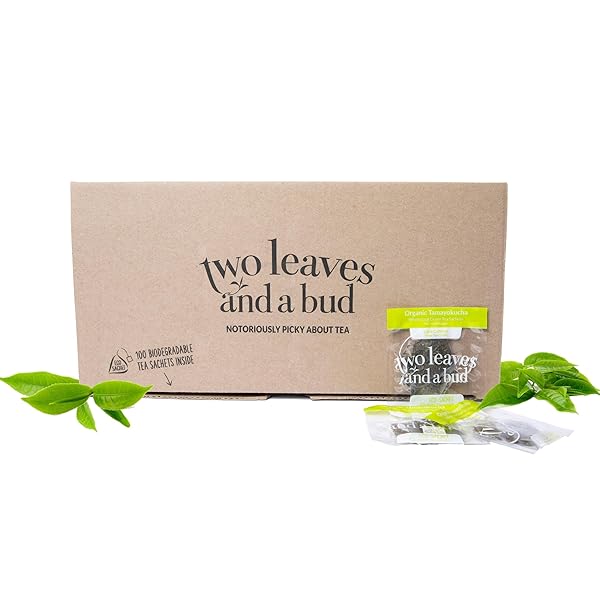 TWO LEAVES AND A BUD ORGANIC TAMAYOKUCHA GREEN TEA BAGS, WHOLE LEAF GREEN TEA IN COMPOSTABLE SACHETS, JAPANESE GREEN TEA, LIGHT FLAVOR, 100 COUNT (PACK OF 1)