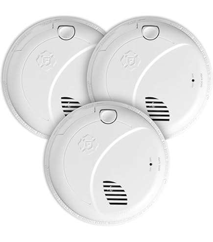 BLOW ONE'S COOL 10'LP/FIRST ALERT 12'LP他 First Alert 10 Year Photoelectric Smoke Alarm 2 Pack, - Amazon.com