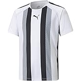 PUMA TeamLIGA Striped Jersey